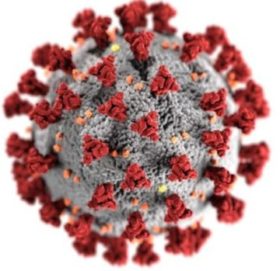 Coronavirus-e1642265636663.jpg